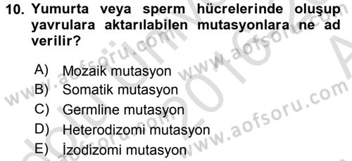 Temel Veteriner Genetik Dersi 2016 - 2017 Yılı (Vize) Ara Sınav Soruları 10. Soru