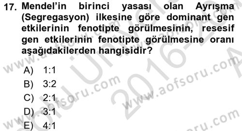 Temel Veteriner Genetik Dersi Ara Sınavı Deneme Sınav Soruları 17. Soru