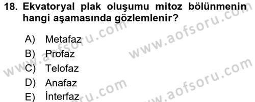 Temel Veteriner Genetik Dersi Ara Sınavı Deneme Sınav Soruları 18. Soru