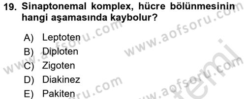 Temel Veteriner Genetik Dersi Ara Sınavı Deneme Sınav Soruları 19. Soru