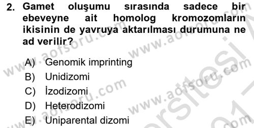 Temel Veteriner Genetik Dersi Ara Sınavı Deneme Sınav Soruları 2. Soru