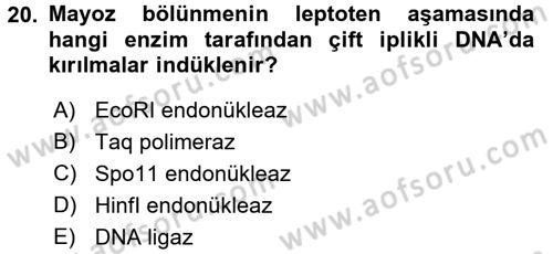 Temel Veteriner Genetik Dersi Ara Sınavı Deneme Sınav Soruları 20. Soru