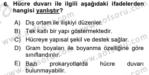 Temel Veteriner Genetik Dersi Ara Sınavı Deneme Sınav Soruları 6. Soru
