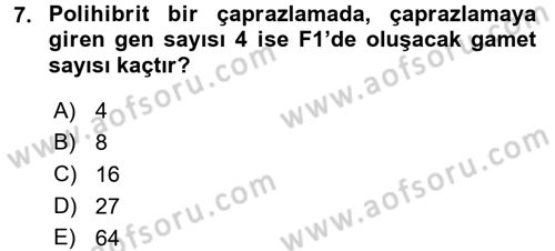Temel Veteriner Genetik Dersi Ara Sınavı Deneme Sınav Soruları 7. Soru