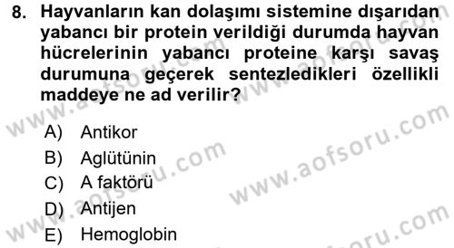 Temel Veteriner Genetik Dersi 2016 - 2017 Yılı (Vize) Ara Sınav Soruları 8. Soru