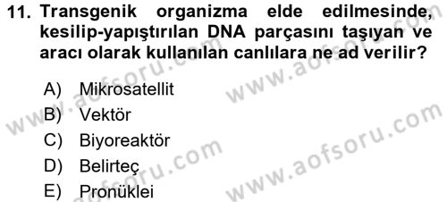 Temel Veteriner Genetik Dersi 2016 - 2017 Yılı (Final) Dönem Sonu Sınav Soruları 11. Soru