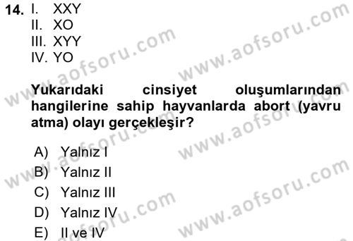 Temel Veteriner Genetik Dersi 2016 - 2017 Yılı (Final) Dönem Sonu Sınav Soruları 14. Soru