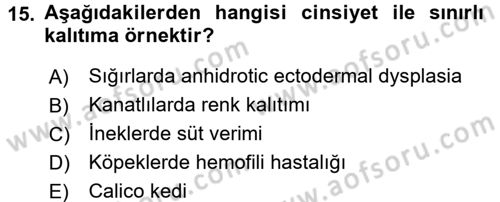 Temel Veteriner Genetik Dersi 2016 - 2017 Yılı (Final) Dönem Sonu Sınav Soruları 15. Soru