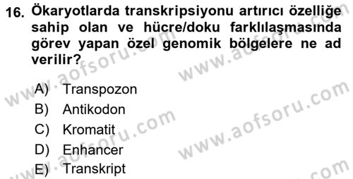 Temel Veteriner Genetik Dersi 2016 - 2017 Yılı (Final) Dönem Sonu Sınav Soruları 16. Soru
