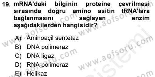 Temel Veteriner Genetik Dersi 2016 - 2017 Yılı (Final) Dönem Sonu Sınav Soruları 19. Soru