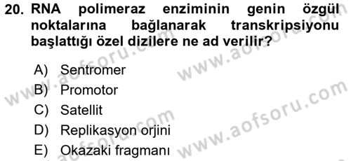 Temel Veteriner Genetik Dersi 2016 - 2017 Yılı (Final) Dönem Sonu Sınav Soruları 20. Soru