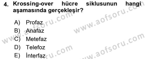 Temel Veteriner Genetik Dersi 2016 - 2017 Yılı (Final) Dönem Sonu Sınav Soruları 4. Soru
