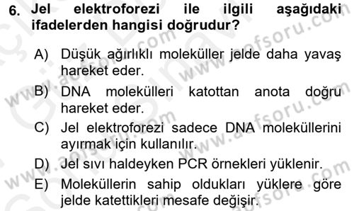 Temel Veteriner Genetik Dersi 2016 - 2017 Yılı (Final) Dönem Sonu Sınavı 6. Soru