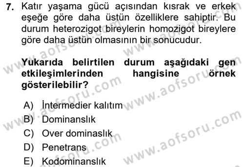 Temel Veteriner Genetik Dersi 2016 - 2017 Yılı (Final) Dönem Sonu Sınav Soruları 7. Soru