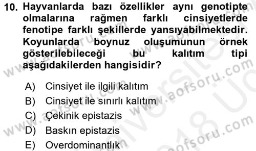 Temel Veteriner Genetik Dersi 2017 - 2018 Yılı 3 Ders Sınav Soruları 10. Soru