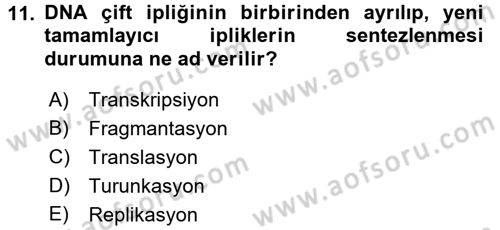 Temel Veteriner Genetik Dersi 2017 - 2018 Yılı 3 Ders Sınav Soruları 11. Soru