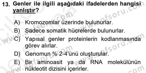 Temel Veteriner Genetik Dersi 2017 - 2018 Yılı 3 Ders Sınav Soruları 13. Soru