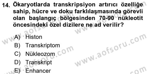 Temel Veteriner Genetik Dersi 2017 - 2018 Yılı 3 Ders Sınav Soruları 14. Soru