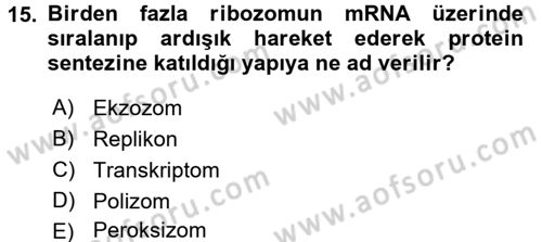 Temel Veteriner Genetik Dersi 2017 - 2018 Yılı 3 Ders Sınav Soruları 15. Soru
