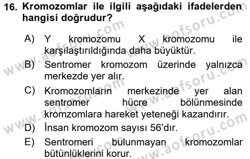 Temel Veteriner Genetik Dersi 2017 - 2018 Yılı 3 Ders Sınav Soruları 16. Soru
