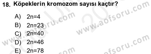 Temel Veteriner Genetik Dersi 2017 - 2018 Yılı 3 Ders Sınav Soruları 18. Soru