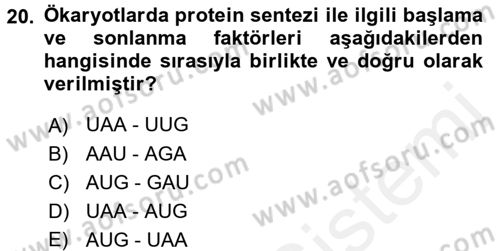 Temel Veteriner Genetik Dersi 2017 - 2018 Yılı 3 Ders Sınav Soruları 20. Soru