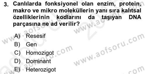 Temel Veteriner Genetik Dersi 2017 - 2018 Yılı 3 Ders Sınav Soruları 3. Soru