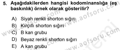 Temel Veteriner Genetik Dersi 2017 - 2018 Yılı 3 Ders Sınav Soruları 5. Soru