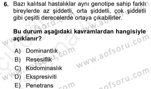 Temel Veteriner Genetik Dersi 2017 - 2018 Yılı 3 Ders Sınav Soruları 6. Soru