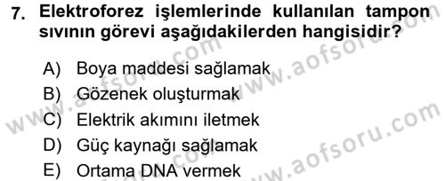 Temel Veteriner Genetik Dersi 2017 - 2018 Yılı 3 Ders Sınav Soruları 7. Soru