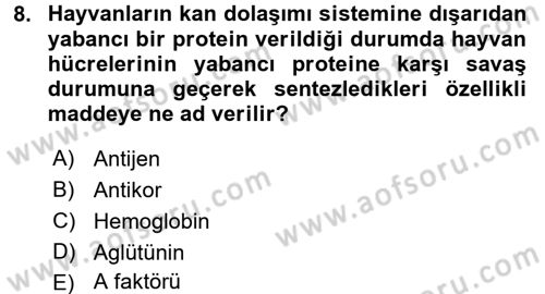Temel Veteriner Genetik Dersi 2017 - 2018 Yılı 3 Ders Sınav Soruları 8. Soru
