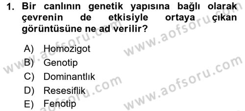Temel Veteriner Genetik Dersi 2017 - 2018 Yılı (Vize) Ara Sınav Soruları 1. Soru