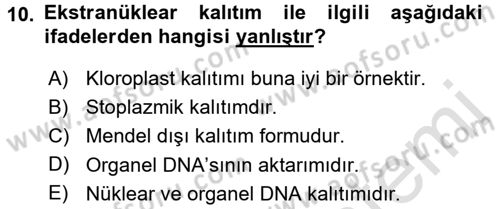 Temel Veteriner Genetik Dersi Ara Sınavı Deneme Sınav Soruları 10. Soru