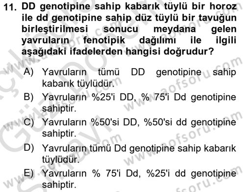 Temel Veteriner Genetik Dersi 2017 - 2018 Yılı (Vize) Ara Sınav Soruları 11. Soru