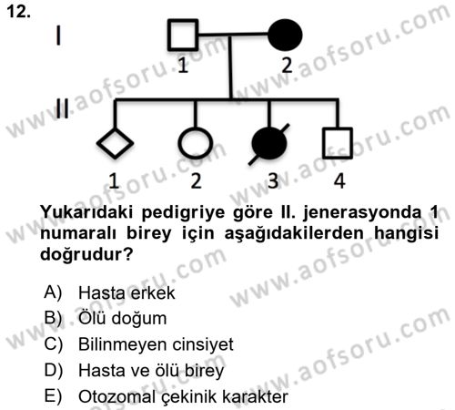 Temel Veteriner Genetik Dersi 2017 - 2018 Yılı (Vize) Ara Sınav Soruları 12. Soru