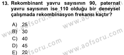 Temel Veteriner Genetik Dersi Ara Sınavı Deneme Sınav Soruları 13. Soru