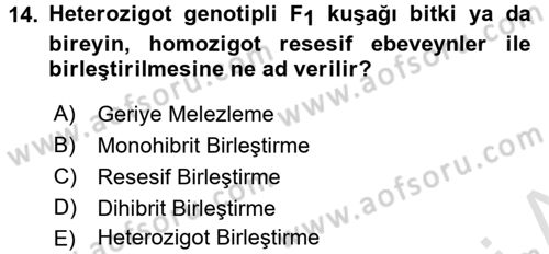 Temel Veteriner Genetik Dersi Ara Sınavı Deneme Sınav Soruları 14. Soru