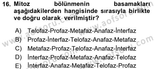 Temel Veteriner Genetik Dersi 2017 - 2018 Yılı (Vize) Ara Sınav Soruları 16. Soru