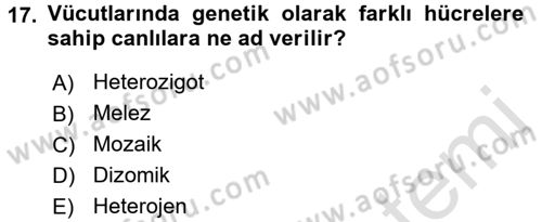 Temel Veteriner Genetik Dersi Ara Sınavı Deneme Sınav Soruları 17. Soru