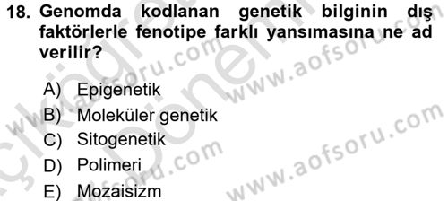 Temel Veteriner Genetik Dersi 2017 - 2018 Yılı (Vize) Ara Sınavı 18. Soru