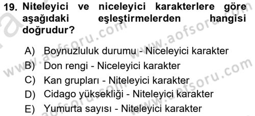 Temel Veteriner Genetik Dersi Ara Sınavı Deneme Sınav Soruları 19. Soru