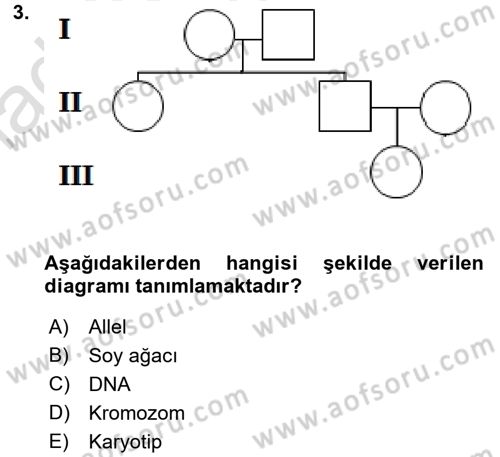 Temel Veteriner Genetik Dersi 2017 - 2018 Yılı (Vize) Ara Sınav Soruları 3. Soru