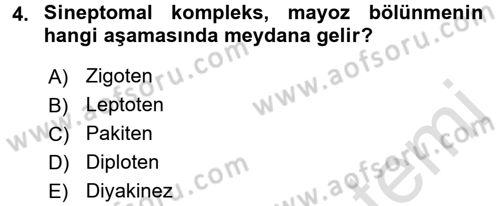 Temel Veteriner Genetik Dersi 2017 - 2018 Yılı (Vize) Ara Sınav Soruları 4. Soru