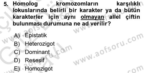 Temel Veteriner Genetik Dersi Ara Sınavı Deneme Sınav Soruları 5. Soru