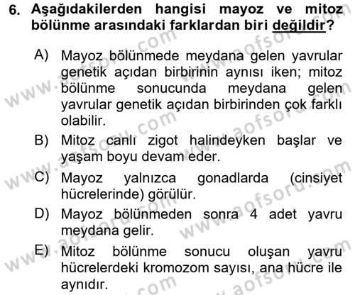 Temel Veteriner Genetik Dersi Ara Sınavı Deneme Sınav Soruları 6. Soru