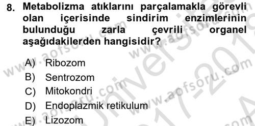 Temel Veteriner Genetik Dersi Ara Sınavı Deneme Sınav Soruları 8. Soru