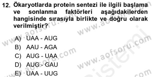 Temel Veteriner Genetik Dersi 2017 - 2018 Yılı (Final) Dönem Sonu Sınav Soruları 12. Soru