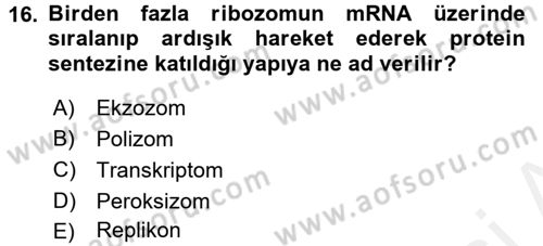 Temel Veteriner Genetik Dersi 2017 - 2018 Yılı (Final) Dönem Sonu Sınav Soruları 16. Soru