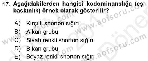 Temel Veteriner Genetik Dersi 2017 - 2018 Yılı (Final) Dönem Sonu Sınav Soruları 17. Soru