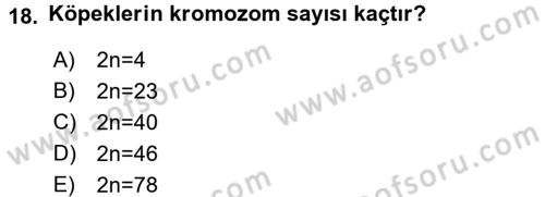 Temel Veteriner Genetik Dersi 2017 - 2018 Yılı (Final) Dönem Sonu Sınav Soruları 18. Soru